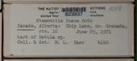 Image Associated With the Occurence
